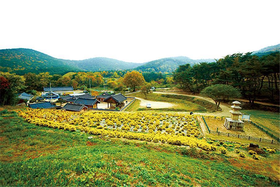도봉서당 호텔 경주 외부 사진